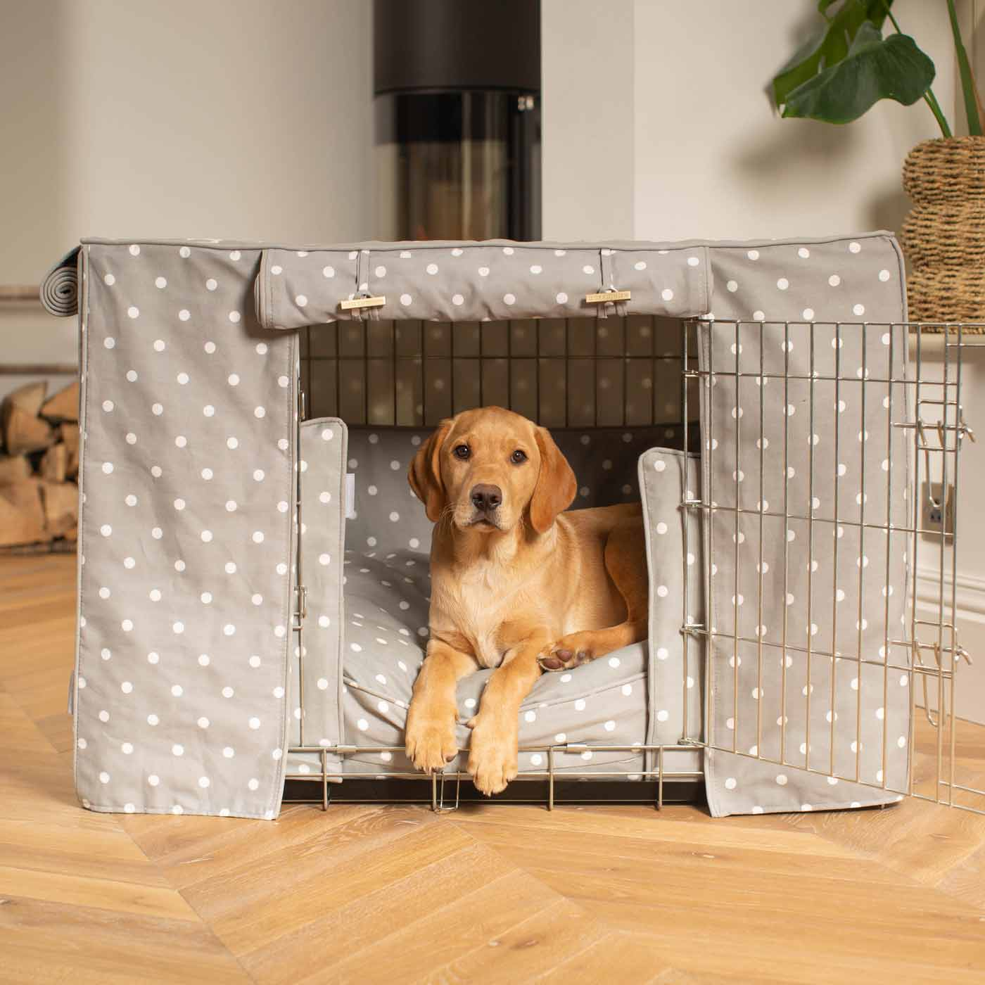 Golden Labrador puppy relaxing in a grey polka-dot covered dog crate